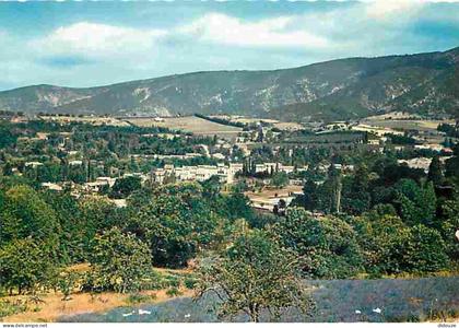 26 - Dieulefit - Vu des Hulacs - CPM - Voir Scans Recto-Verso