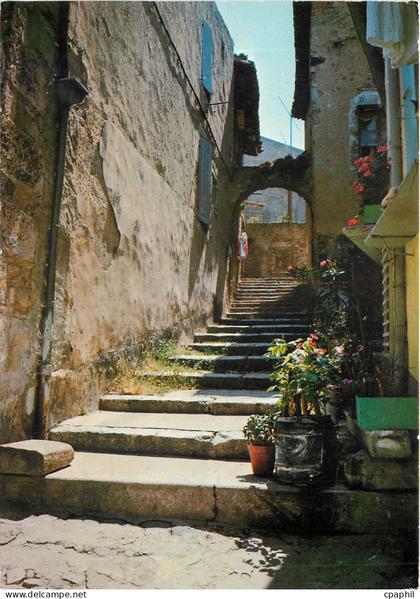 CPM Dieulefit (Drome) vieille rue (La Vialle)