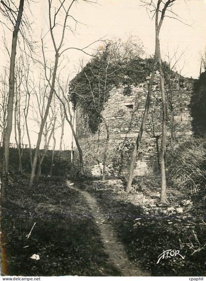 CPM Dol de Bretagne Les Ruines du Chateau
