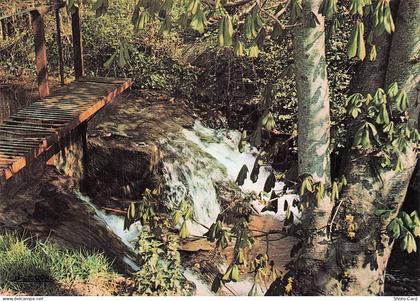 77 DONNEMARIE DONTILLY LA CASCADE