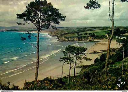 Carte Postale - 29 - Douarnenez - La Plage du Ris et la Baie de Douarnenez - Voir Scans Recto Verso