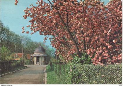 CPM Draveil Paris Jardins