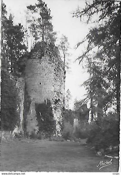 CPSM Egletons Château de Moustier Ventadour - Une Tour