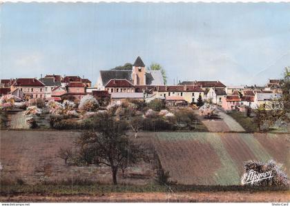 89 EGRISELLES LE BOCAGE VUE GENERALE