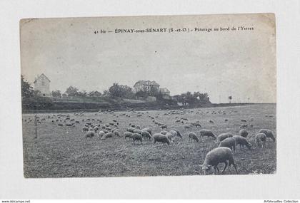 CPA Epinay-sous-Sénart - Moutons sur pâturage au bord de l'Yerres Voyagée 1908