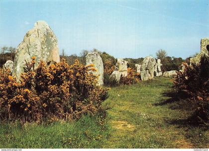 56 ERDEVEN KERZERHO A ERDEVEN