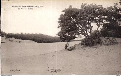CPA Ermenonville (Oise) La Mer de Sable