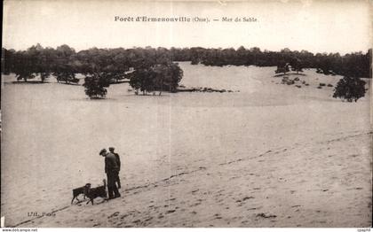 CPA Foret d Ermenonville (Oise) La Mer de Sable