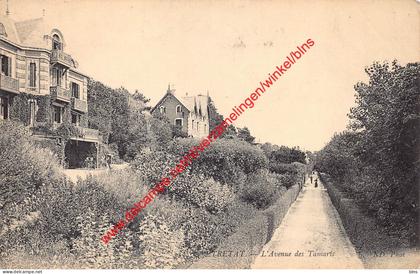 L'Avenue des Tamaris - Etretat - (76) Seine Maritime