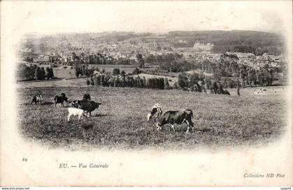Eu CPA Vue generale (vaches)