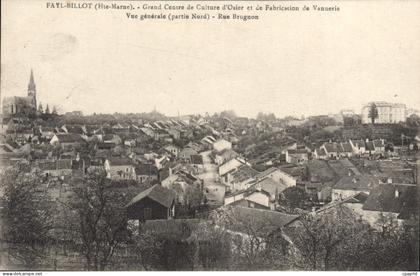 CPA Fayl Billot Grand Centre De Culture d'osier vannerie