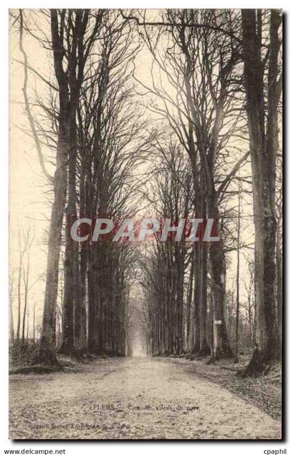 CPA Flers Une allee du parc