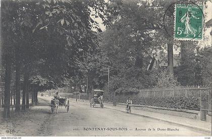 CPA Fontenay-sous-Bois avenue de la Dame-Blanche
