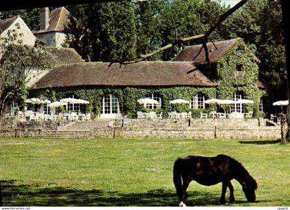CPSM Fontenay Tresigny (Seine et Marne) Chateau Royal du Vivier Restaurant Salles de Reception Disco