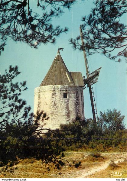 CPM Fontvieille (B du R) Le moulin de Daudet