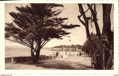 CPA Fouras les Bains Charente Promenade des Sapinettes dominant la grande plage