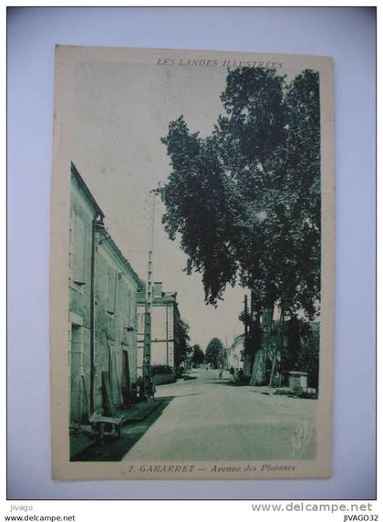 GABARRET  (Landes)  :  Avenue des Platanes