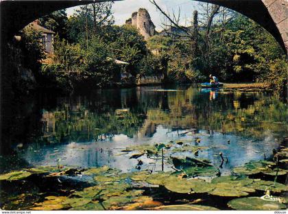 Carte Postale - 86 - Gençay - Les ruines du vieux château dominant la Cloué - Nénuphars - CPM - Voir Scans Recto-Verso -