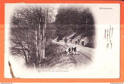 36604 /  GERARDMER 88-Vosges Aux bords du Lac de LONGEMER 1903 à Louise CORNU Verdun - WEICK 184