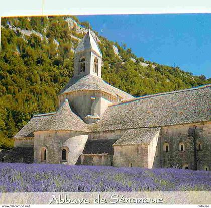 84 - Gordes - Abbaye de Sénanque - Champs de lavande - CPM - Voir Scans Recto-Verso