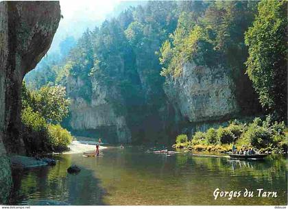 Carte Postale - 48 - Les Gorges du Tarn - Brume matinale dans les Gorges du Tarn  - CPM - Voir Scans Recto-Verso - Posca