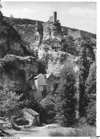 CPA GORGES DU TARN CASTELBOUC -non circulée