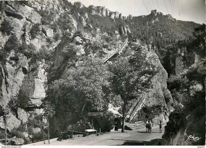 CPM Gorges du Tarn Lozere Belvedere du Pas de Soucy