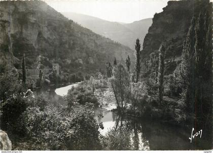 CPM Gorges du tarn pougnadoires (lozere) les rives du tarn