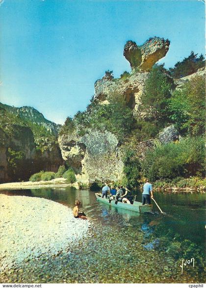 CPM Les Gorges du Tarn Lozere Le Champignon
