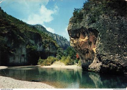 FRANCE - Circuit des Gorges du Tarn - la Jonte - L eau claire du Tarn - Edit Pierre Artaud et Cie - Carte Postale