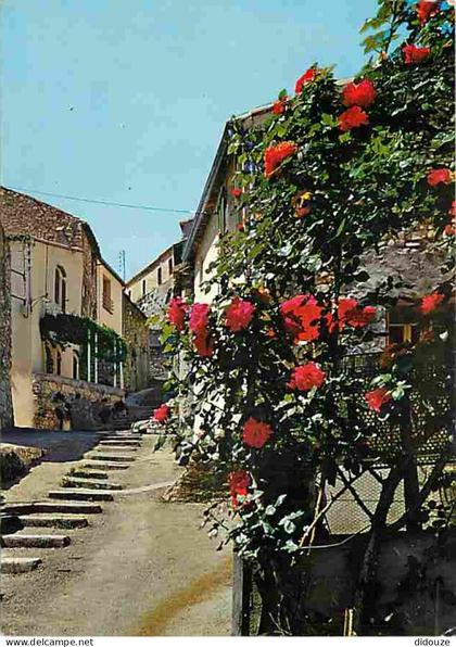 Carte Postale - 04 - Gréoux les Bains - La rue des Marquises - Fleurs - Flamme Postale de Gréoux les Bains - CPM - Voir