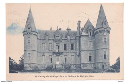 56 - GUER - COETQUIDAN -  CHATEAU DU BOIS DU LOUP