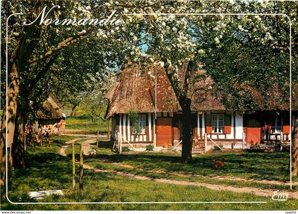 CPM La Normandie Pittoresque Chaumiere normande au printemps