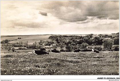AR#BFP1-27-0264 - HEBECOURT - Pâturages