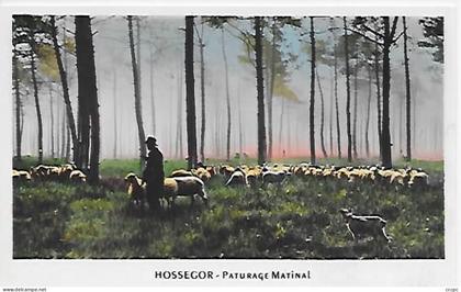 CPSM Hossegor Paturage Matinal