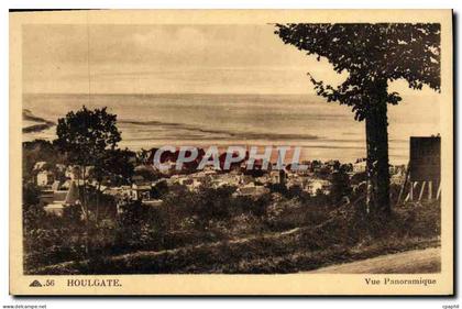 CPA Houlgate Vue Panoramique
