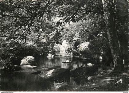 29 - Huelgoat - Mare aux Fées - CPSM grand format - Voir Scans Recto-Verso