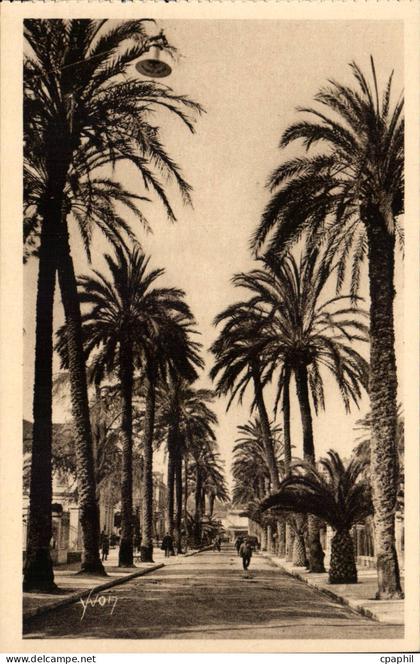 Hyeres - Avenue de Belgique CPA