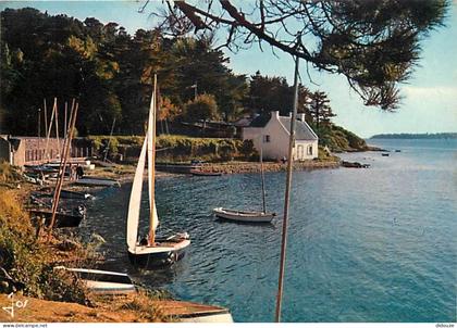 Carte Postale - 56 - Ile aux Moines - CPM - Voir Scans Recto-Verso - Poscard - Carta Postal -  Postkarte