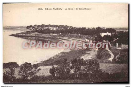 CPA Ile Aux Moines La Plage Et Le Bois D'Amour