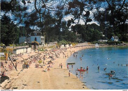 CPM Ile aux Moines (Morbihan) La Bretagne en Couleurs La Grande Plage a l'Heure du Bain