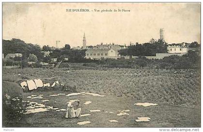 charente-maritime - ref F504 -  île d´oléron -saint pierre - st pierre - vue générale - séchage du linge sur pré -