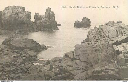 CPA Ile de Brehat Etude de Rochers