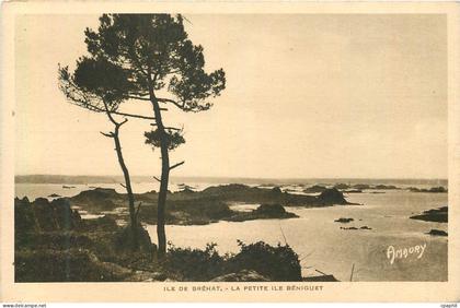 CPA Ile de Brehat La Petite Ile Beniguet