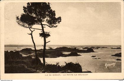 ile de Brehat CPA La petite ile Beniguet