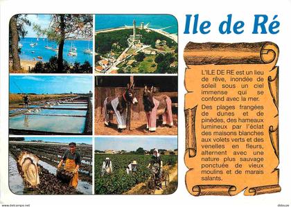 17 - Ile de Ré - Multivues - Anes en culotte de l'ile de Ré - CPM - Voir Scans Recto-Verso
