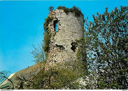 59 - Jeumont - La Tour - Vieilles pierres - CPM - Voir Scans Recto-Verso