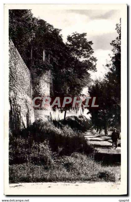 CPM Joigny la Guimbarde