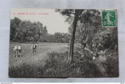 Juvisy, la prairie, Essonne 91