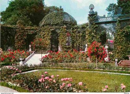 Carte Postale - 94 - L'Hay les Roses - La Roseraie - Fleurs - Roses - CPM - Voir Scans Recto-Verso - Poscard - Carta Pos